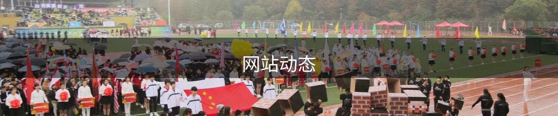 网站动态